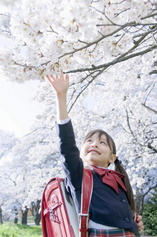东方人,儿童,一个人,站,举,竖图,室外,白天,仰视,纯洁,草地,草坪,树林,植物,樱花,亚洲,仅一个女性,仅一个人,许多,服装,盛开,包,书包,花蕾,注视,休闲装,黄种人,草,花,花瓣,花朵,鲜花,树,树木,树枝,小孩,衣服,蓝色,绿色,蓝天,天空,自然,把手,背包,天,花苞,花蕊,观察,看,托,站着,仅一个小孩,休闲,休闲服,可爱,童年,童趣,服饰,生长,晴朗,成长,观看,察看,关注,童真,烂漫,无邪,万里无云,仙樱花,福岛樱,青肤樱,天真,女孩,女人,女性,亚洲人,孩子,晴空,晴空万里,荆桃,举起,举手,举着,抬头,向上举,向上伸,向上托,仰头,站立,半身,彩图,低角度拍摄,双肩包,女生