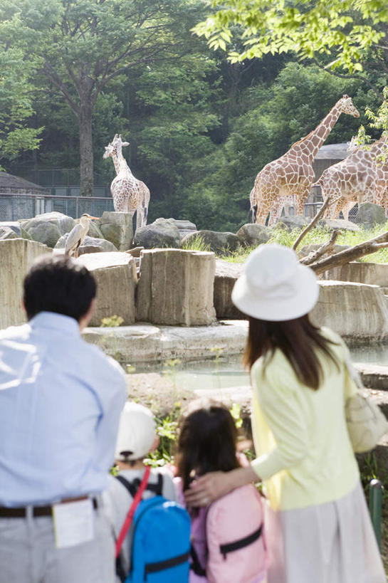 东方人,儿童,四个人,家庭,夫妻,母亲,父亲,女儿,儿子,动物园,站,竖图,室外,白天,爱情,游戏,纯洁,植物,哺乳动物,长颈鹿,鹿,野生动物,亚洲,一排,阴影,服装,整齐,光线,包,书包,影子,浪漫,玩,休闲装,黄种人,娱乐,树,树木,排列,小孩,背面,衣服,绿色,阳光,自然,动物,背包,站着,休闲,温暖,温馨,父女,父子,母女,母子,一家人,休闲服,恩爱,父爱,可爱,母爱,童年,童趣,恋人,服饰,活泼,三头,生长,成长,活动,和睦,队列,发泄,消遣,智力,童真,烂漫,无邪,宣泄,天真,男孩,男人,男性,年轻男性,年轻女性,女孩,女人,女性,亚洲人,孩子,年轻人,夫妇,情侣,玩耍,嬉戏,站立,半身,彩图,伴侣,融洽,双肩包,男生,女生