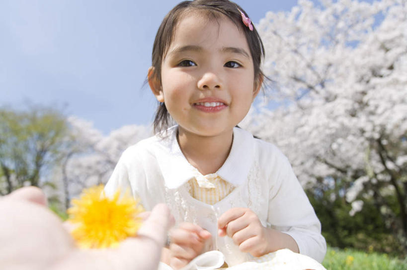 东方人,儿童,一个人,站,举,捧,笑,微笑,露齿笑,横图,室内,白天,正面,纯洁,樱花,亚洲,仅一个女性,仅一个人,许多,阴影,服装,朦胧,模糊,盛开,光线,影子,花蕾,注视,休闲装,黄种人,花,花瓣,花朵,鲜花,小孩,衣服,黄色,蓝色,白色,蓝天,天空,阳光,天,花苞,花蕊,观察,看,托,站着,仅一个小孩,休闲,休闲服,菊花,可爱,童年,童趣,服饰,晴朗,观看,察看,关注,童真,烂漫,无邪,万里无云,仙樱花,福岛樱,青肤樱,天真,女孩,女人,女性,亚洲人,孩子,晴空,晴空万里,荆桃,端,端着,举起,举手,举着,捧着,手捧,向上举,向上伸,向上托,站立,半身,彩图,女生