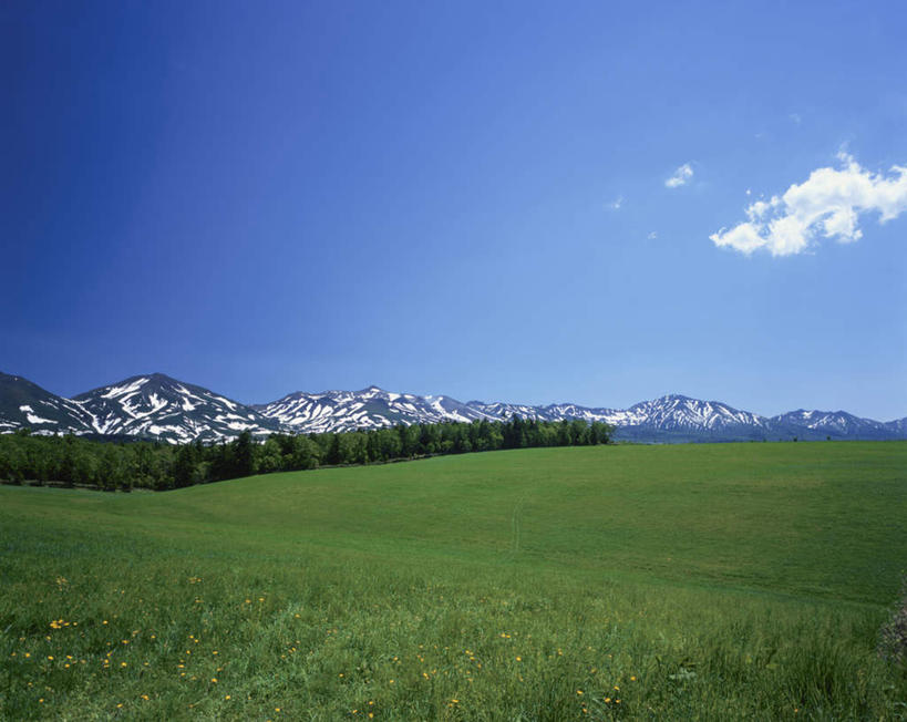 无人,横图,俯视,航拍,室外,白天,旅游,度假,草地,草坪,美景,山,山脉,雪,植物,大雪,北海道,日本,亚洲,积雪,景观,山峰,雪景,冬季,冬天,山峦,娱乐,草,树,树木,蓝色,绿色,蓝天,天空,自然,群山,天,享受,休闲,景色,放松,寒冷,生长,成长,鸟瞰,自然风光,东亚,日本国,北海道地方,北海道岛,严寒,彩图,高角度拍摄