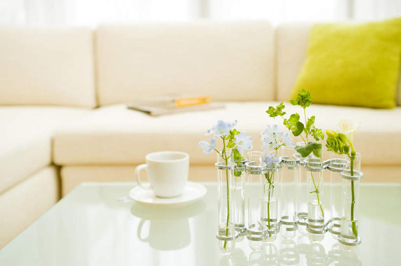 无人,家,客厅,横图,俯视,室内,白天,阅读,别墅,家具,靠垫,沙发,装修,桌子,建筑,杂志,杯子,餐具,花瓶,玻璃,欧式,一本,一排,许多,学习,朦胧,模糊,整齐,装饰,盛开,瓷器,碟子,盘,房屋,屋子,公寓,咖啡杯,靠枕,陶瓷制品,豪华,花蕾,茶几,建设,现代,装潢,洋房,楼房,住宅,玻璃制品,花,花瓣,花朵,鲜花,排列,一个,黄色,蓝色,盘子,玻璃瓶,瓶子,垫子,碟,室内装潢,枕头,花苞,花蕊,看,四个,读书,浏览,单个,明亮,起居室,舒适,家居装潢,队列,瓷杯,房屋设计,地中海风格,简约风格,布艺沙发,室内设计,宽敞,样板房装潢,设计,彩图,高角度拍摄,房子