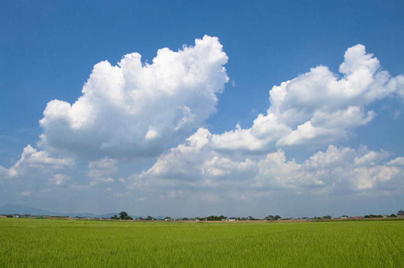 无人,横图,室外,白天,仰视,旅游,度假,草地,草坪,美景,植物,日本,亚洲,阴影,朦胧,模糊,光线,影子,地平线,景观,云,云朵,辽阔,地面,云彩,娱乐,草,蓝色,绿色,白云,蓝天,天空,阳光,自然,天,享受,休闲,广阔,景色,放松,晴朗,一望无际,自然风光,延伸,东亚,本州,茨城,茨城县,关东地方,本州岛,日本国,天地相交,无边无际,一马平川,晴空,彩图,低角度拍摄