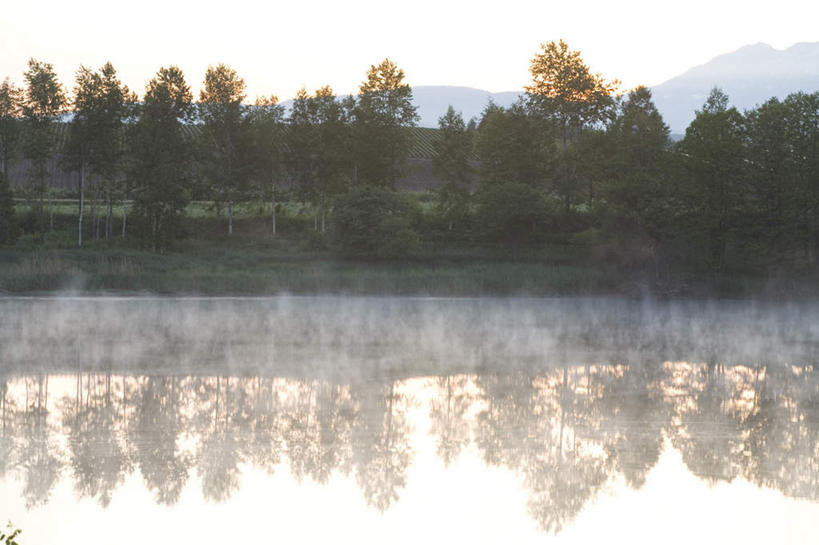 无人,横图,室外,白天,正面,旅游,度假,灌溉,湖,湖泊,美景,山,山脉,树林,水,植物,建筑,北海道,日本,亚洲,蓄水,阴影,朦胧,模糊,反射,光线,影子,湖面,景观,山峰,水流,水面,云,云朵,山峦,云彩,娱乐,建设,水坝,水库,树,树木,蓝色,绿色,白云,蓝天,天空,阳光,自然,湖水,群山,天,享受,休闲,发电,景色,放松,生长,晴朗,成长,自然风光,东亚,坝,航运,日本国,北海道地方,北海道岛,美瑛町,美瑛,防洪,供水,水力发电,晴空,彩图