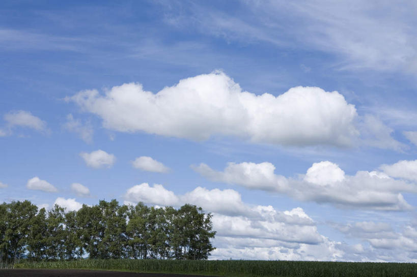 无人,农田,横图,全景,室外,白天,仰视,旅游,度假,庄稼,农作物,草地,草坪,美景,树林,天际线,植物,北海道,日本,亚洲,一排,朦胧,模糊,整齐,地平线,景观,云,云朵,辽阔,地面,云彩,娱乐,草,树,树木,排列,蓝色,绿色,白云,蓝天,天空,自然,天,享受,休闲,景色,放松,生长,晴朗,成长,一望无际,队列,自然风光,延伸,东亚,日本国,天地相交,北海道地方,北海道岛,美瑛町,美瑛,晴空,彩图,低角度拍摄,耕地,庄稼田