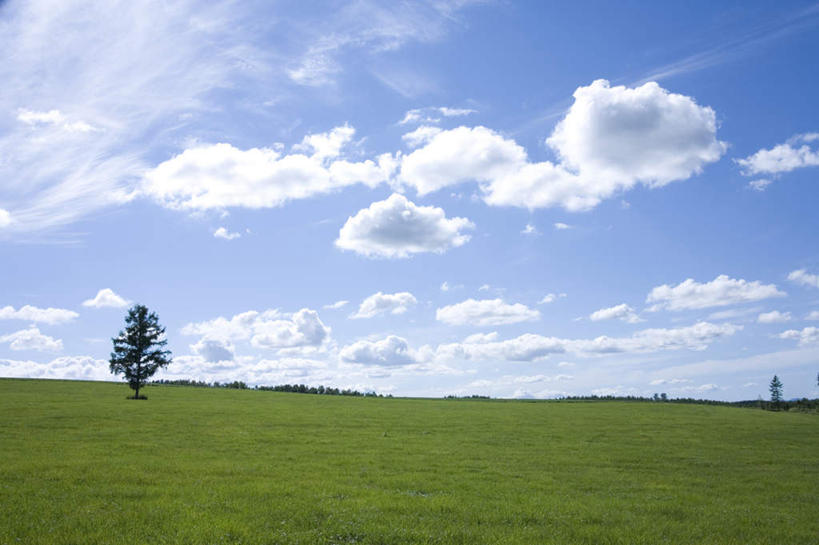 无人,农田,横图,全景,室外,白天,仰视,旅游,度假,庄稼,农作物,美景,天际线,植物,北海道,日本,亚洲,一棵,朦胧,模糊,地平线,景观,云,云朵,辽阔,地面,云彩,娱乐,树,树木,蓝色,绿色,白云,蓝天,天空,自然,天,享受,休闲,景色,放松,生长,晴朗,成长,一望无际,自然风光,延伸,东亚,日本国,天地相交,北海道地方,北海道岛,美瑛町,美瑛,晴空,彩图,低角度拍摄,耕地,庄稼田