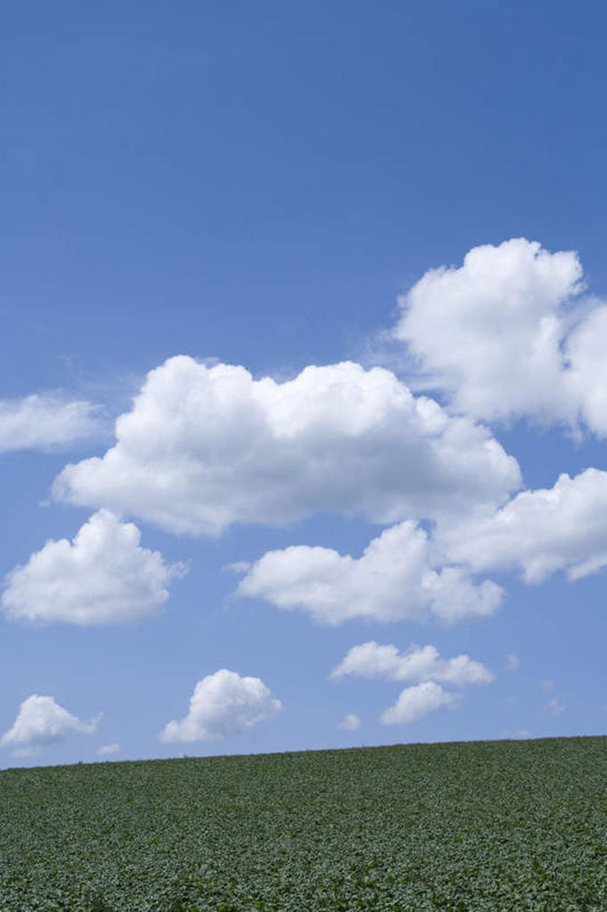 无人,农田,竖图,全景,室外,白天,正面,旅游,度假,庄稼,农作物,草地,草坪,美景,天际线,植物,北海道,日本,亚洲,朦胧,模糊,地平线,景观,云,云朵,辽阔,地面,云彩,娱乐,草,蓝色,绿色,白云,蓝天,天空,自然,天,享受,休闲,景色,放松,晴朗,一望无际,自然风光,延伸,东亚,日本国,天地相交,北海道地方,北海道岛,美瑛町,美瑛,晴空,彩图,耕地,庄稼田