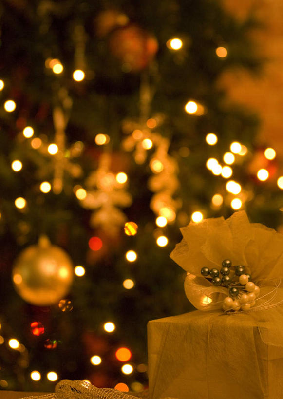 无人,竖图,室内,白天,正面,植物,礼盒,礼物,照明,圣诞节,一棵,许多,节日,朦胧,模糊,庆祝,装饰,彩灯,纸盒,灯光,圣诞树,文化,灯,盒子,树,树木,一个,绿色,自然,包装盒,礼品盒,灯具,庆典,球体,礼品,生长,单个,成长,纪念,华丽,修饰,照亮,点缀,照明设备,衬托,美观,雅致,雅观,彩图