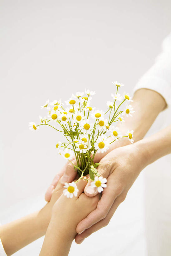 东方人,手,两个人,家庭,夫妻,捧,摸,竖图,俯视,室内,白天,爱情,亚洲,许多,抚摸,握,阴影,盛开,传递,光线,影子,玛格丽特,浪漫,拿,花蕾,拿着,黄种人,雏菊,花,花瓣,花朵,鲜花,黄色,阳光,花苞,花蕊,温暖,温馨,一家人,手部,菊花,恩爱,握着,恋人,和睦,延命菊,幸福花,春菊,马兰头花,男人,男性,年轻男性,年轻女性,女人,女性,亚洲人,夫妇,情侣,触摸,端,端着,接触,捧着,手捧,半身,彩图,高角度拍摄,伴侣,融洽