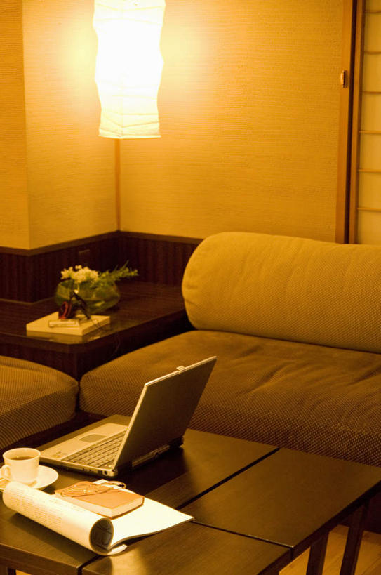 无人,客厅,竖图,俯视,室内,白天,电脑,笔记本电脑,植物,餐桌,沙发,桌子,书籍,照明,一本,网络,壁灯,盆栽,墙,灯光,盆景,通讯设备,墙壁,墙面,灯,绿色,自然,灯具,生长,成长,餐台,照亮,无线,起居室,照明设备,通信设备,无线网络,布艺沙发,无线上网,便携式电脑,手提电脑,书,图书,彩图,高角度拍摄