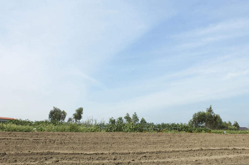 无人,农田,横图,室内,白天,正面,旅游,度假,庄稼,农作物,草地,草坪,美景,植物,一堆,阴影,堆叠,堆积,光线,影子,景观,土壤,云,云朵,褐色,云彩,娱乐,草,树,树木,蓝色,绿色,白云,蓝天,天空,阳光,自然,天,享受,休闲,景色,放松,生长,成长,堆,自然风光,彩图,耕地,庄稼田