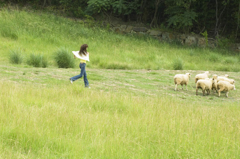 东方人,头发,一个人,站,跑,横图,室外,白天,侧面,锻炼,旅游,度假,运动,牧场,草地,草坪,美景,植物,羊,亚洲,仅一个年轻女性,仅一个女性,仅一个人,许多,景观,抬腿,黄种人,娱乐,草,树,树木,绿色,白色,黑色,自然,动物,站着,享受,休闲,家畜,景色,放松,牲畜,生长,成长,自然风光,体育,年轻女性,女人,女性,亚洲人,绵羊,跑步,站立,彩图,全身,健身