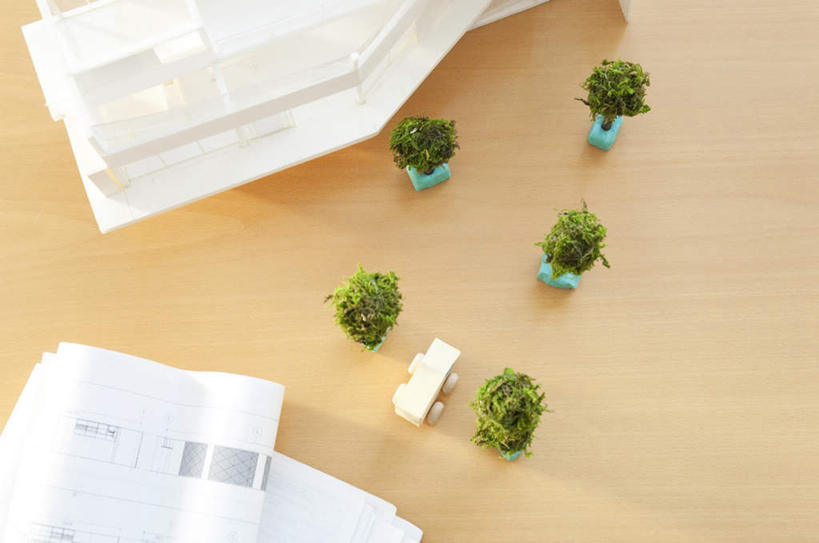 无人,客厅,横图,俯视,室内,特写,白天,美景,植物,地板,汽车,静物,盆栽,图纸,景观,盆景,设计图,地面,木地板,车,绿色,自然,模型,交通工具,轿车,景色,生长,成长,起居室,自然风光,载具,工程图,草图,蓝图,设计,彩图,高角度拍摄