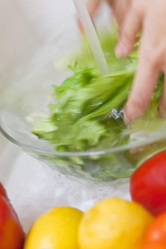 东方人,手,一个人,站,竖图,俯视,室内,特写,白天,辣椒,蔬菜,叶子,亚洲,双手,仅一个年轻女性,仅一个女性,仅一个人,朦胧,模糊,新鲜,食品,绿叶,拿,拿着,黄种人,食物,站着,手部,嫩叶,有机食品,绿色食品,彩椒,辣角,红海椒,大椒,辣虎,广椒,荡涤,洗濯,年轻女性,女人,女性,亚洲人,叶,叶片,甜椒,柿子椒,辣子,海椒,番椒,灯笼椒,清洗,站立,半身,彩图,高角度拍摄