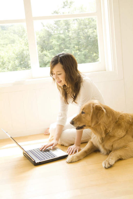 东方人,一个人,客厅,坐,竖图,室内,白天,侧面,电脑,笔记本电脑,植物,窗户,地板,宠物,狗,亚洲,仅一个年轻女性,仅一个女性,仅一个人,一条,服装,网络,地面,注视,休闲装,黄种人,通讯设备,金毛犬,木地板,玻璃窗,树,树木,衣服,绿色,自然,动物,观察,看,休闲,休闲服,可爱,服饰,金毛,生长,成长,观看,察看,无线,起居室,关注,寻回犬,通信设备,无线网络,无线上网,便携式电脑,金毛寻回犬,忠诚,手提电脑,年轻女性,女人,女性,亚洲人,犬,坐着,半身,彩图