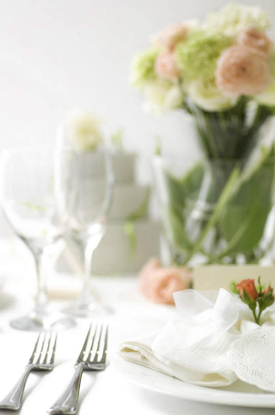 无人,竖图,室内,特写,白天,白色背景,正面,餐桌,桌子,康乃馨,杯子,餐具,朦胧,模糊,盛开,刀叉,碟子,高脚杯,盘,丝绸,丝带,缎带,纸张,红酒杯,花蕾,玻璃制品,绸带,花,花瓣,花朵,鲜花,一朵,红色,绿色,盘子,酒杯,卡片,碟,花苞,花蕊,摄影,影棚,餐台,麝香石竹,石竹,香石竹,玻璃杯,进餐用具,烹调用具,彩图,影棚拍摄,拍摄