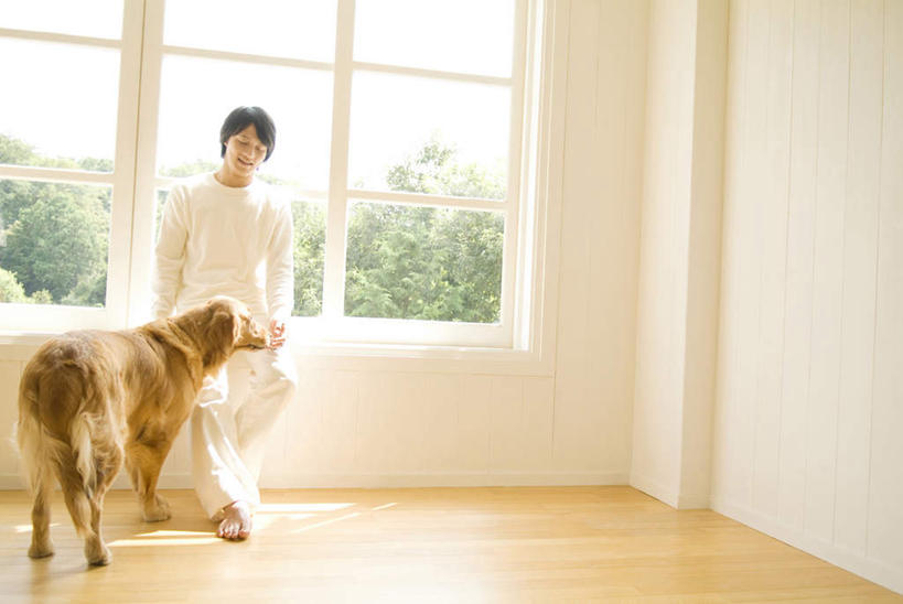 东方人,一个人,站,笑,微笑,横图,室内,白天,正面,植物,窗户,亚洲,仅一个男性,仅一个人,一条,服装,注视,休闲装,黄种人,金毛犬,玻璃窗,树,树木,仅一个年轻男性,衣服,绿色,白色,自然,观察,看,站着,休闲,休闲服,服饰,金毛,生长,成长,观看,察看,关注,寻回犬,金毛寻回犬,男人,男性,年轻男性,亚洲人,站立,彩图,全身