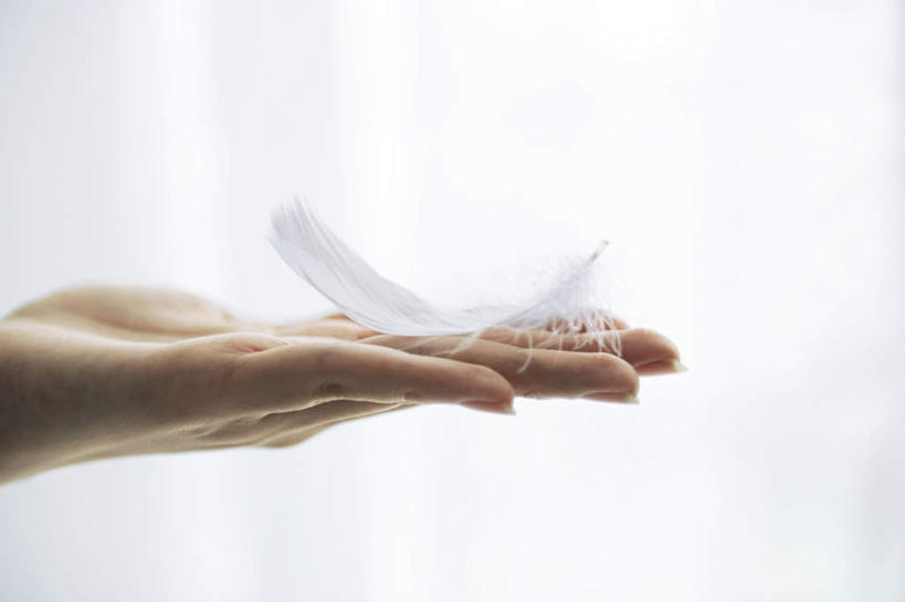 东方人,手,一个人,站,捧,横图,室内,特写,白天,白色背景,正面,羽毛,亚洲,双手,仅一个年轻女性,仅一个女性,仅一个人,服装,轻盈,柔软,休闲装,黄种人,衣服,白色,站着,休闲,手部,休闲服,摄影,服饰,影棚,轻柔,年轻女性,女人,女性,亚洲人,端,端着,捧着,手捧,站立,半身,彩图,影棚拍摄,拍摄