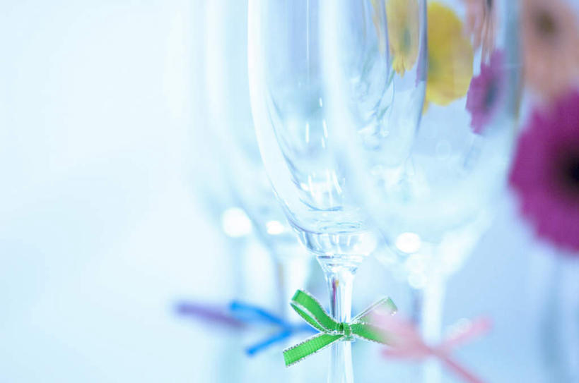 无人,横图,室内,特写,白天,白色背景,正面,静物,杯子,一排,朦胧,模糊,整齐,盛开,高脚杯,丝绸,丝带,非洲菊,缎带,红酒杯,四杯,花蕾,玻璃制品,绸带,花,花瓣,花朵,鲜花,排列,两朵,粉色,蓝色,绿色,紫色,蝴蝶结,酒杯,花苞,花蕊,菊花,摄影,影棚,队列,扶郎花,灯盏花,千日菊,玻璃杯,彩图,影棚拍摄,拍摄