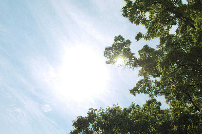 无人,横图,室外,白天,仰视,旅游,度假,美景,植物,叶子,阴影,光线,影子,景观,云,云朵,绿叶,云彩,娱乐,树,树木,蓝色,绿色,白云,蓝天,天空,阳光,自然,天,享受,休闲,嫩叶,景色,放松,生长,晴朗,成长,自然风光,叶,叶片,晴空,彩图,低角度拍摄