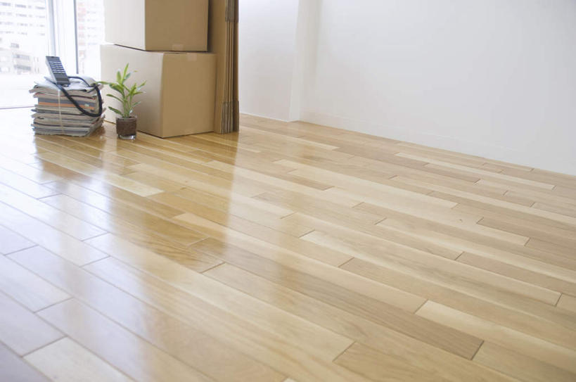 无人,打电话,横图,俯视,室内,白天,植物,窗户,地板,落地窗,电话,书籍,许多,装饰,包装,盆栽,纸箱,墙,盆景,地面,通讯设备,木地板,玻璃窗,墙壁,墙面,黄色,绿色,白色,自然,话筒,容器,箱子,电话线,生长,成长,华丽,修饰,点缀,一盆,纸板箱,包装箱,一部,衬托,美观,雅致,雅观,交流,电话机,书,图书,沟通,通话,彩图,高角度拍摄