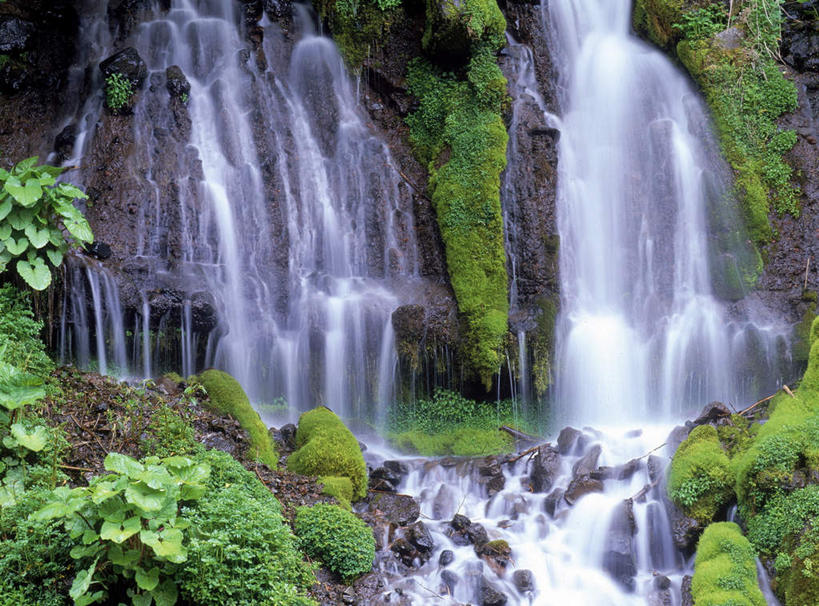 无人,横图,室外,白天,正面,旅游,度假,美景,瀑布,水,植物,日本,亚洲,许多,飞溅,溅,液体,景观,水滴,苔藓,娱乐,水珠,树,树木,绿色,自然,享受,休闲,景色,放松,生长,成长,喷洒,自然风光,东亚,本州,本州岛,日本国,中部地方,山梨,山梨县,跌水,彩图