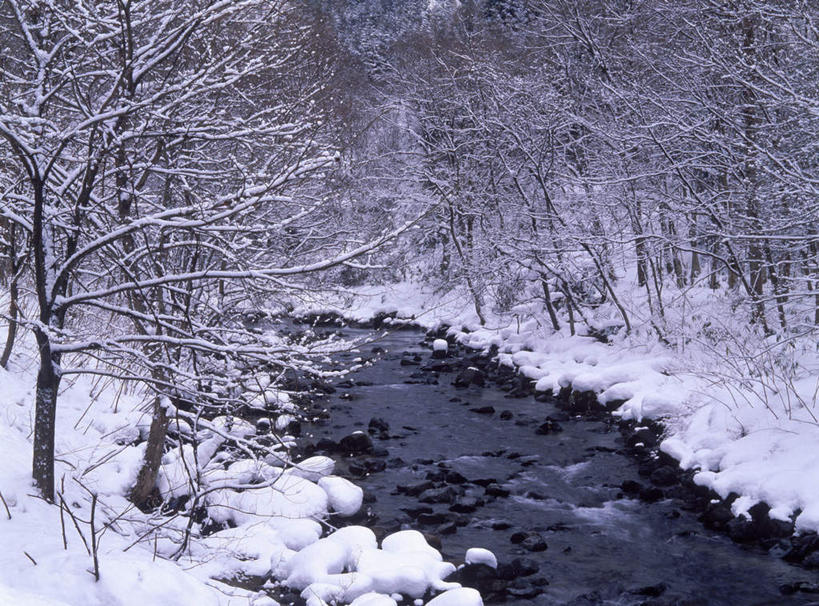 无人,横图,室外,白天,正面,旅游,度假,河流,美景,树林,水,植物,秋田县,日本,亚洲,波纹,河水,景观,水流,云,云朵,冬天,涟漪,云彩,娱乐,树,树木,蓝色,白云,蓝天,水纹,天空,小溪,自然,波浪,天,溪水,享受,休闲,景色,放松,寒冷,生长,晴朗,成长,自然风光,东亚,本州,本州岛,日本国,秋田,水晕,东北地方,严寒,晴空,彩图