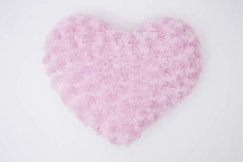 无人,横图,俯视,室内,特写,白天,白色背景,爱情,幸福,纯洁,热情,玫瑰,许多,爱心,盛开,玫瑰花,浪漫,花蕾,花,花瓣,花朵,鲜花,粉色,花苞,花蕊,温暖,温馨,心形,恩爱,摄影,影棚,和睦,感动,尊敬,天真,刺玫花,徘徊花,心型,彩图,高角度拍摄,影棚拍摄,拍摄,融洽