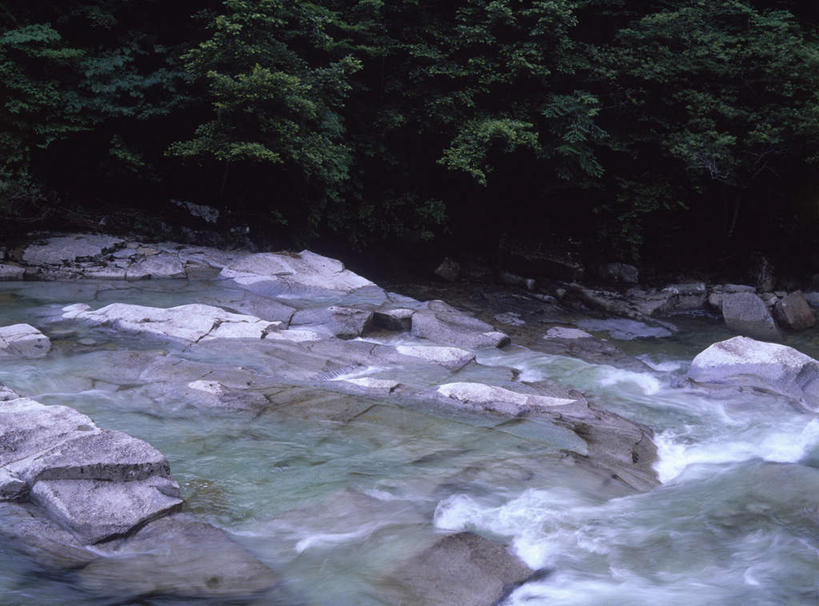无人,横图,俯视,室外,白天,旅游,度假,河流,礁石,石头,美景,水,植物,长野县,日本,亚洲,湍急,石子,河水,景观,水流,娱乐,树,树木,绿色,自然,享受,休闲,景色,放松,生长,成长,自然风光,东亚,本州,本州岛,日本国,中部地方,长野,礁,石块,岩石,彩图,高角度拍摄