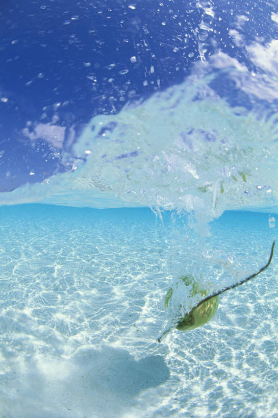 无人,竖图,俯视,室外,特写,白天,旅游,度假,海浪,海洋,美景,树林,植物,椰子,马尔代夫,亚洲,阴影,波纹,飞溅,溅,光线,液体,影子,景观,浪花,水滴,云,云朵,涟漪,云彩,娱乐,水珠,树,树木,一个,蓝色,绿色,白云,蓝天,水纹,天空,阳光,自然,海水,波浪,天,享受,休闲,景色,放松,生长,晴朗,单个,成长,喷洒,自然风光,掉落,南亚,海景,水晕,马尔代夫共和国,大椰,胥余,椰瓢,越王头,大海,风浪,海,海水的波动,近岸浪,涌浪,晴空,彩图,高角度拍摄