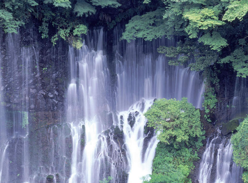 无人,横图,室外,白天,正面,旅游,度假,石头,美景,瀑布,水,植物,叶子,静冈县,日本,亚洲,飞溅,溅,石子,液体,景观,水滴,绿叶,娱乐,水珠,绿色,自然,享受,休闲,嫩叶,景色,放松,喷洒,自然风光,东亚,本州,本州岛,日本国,中部地方,静冈,叶,叶片,跌水,石块,岩石,彩图