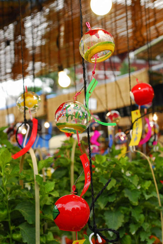 无人,竖图,室外,白天,仰视,旅游,度假,幸福,运气,植物,窗帘,樱桃,风铃,照明,东京,日本,亚洲,许多,吊挂,悬挂,朦胧,模糊,灯光,挂,娱乐,灯,草,树,树木,红色,绿色,自然,灯具,祈祷,祈福,享受,休闲,放松,警示,许愿,生长,成长,祈求,照亮,吉祥,平和,照明设备,问候,东亚,警惕,本州,关东地方,本州岛,日本国,东京都,思念,想念,玉振,幸运,占风铎,樱珠,莺桃,英桃,楔桃,牛桃,荆桃,彩图,低角度拍摄