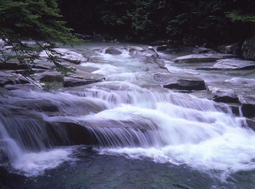 无人,横图,室外,白天,正面,长时间曝光,旅游,度假,河流,石头,美景,水,植物,长野县,日本,亚洲,石子,河水,景观,水流,娱乐,树,树木,绿色,小溪,自然,溪水,享受,休闲,景色,放松,生长,成长,自然风光,曝光,东亚,本州,本州岛,日本国,中部地方,长野,暴光,石块,岩石,彩图