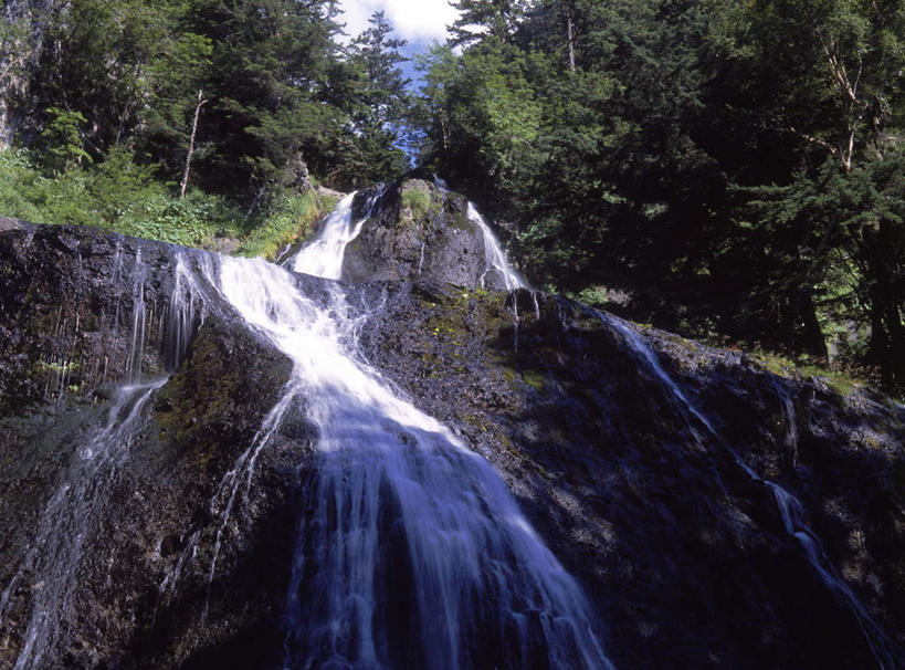 无人,横图,室外,白天,长时间曝光,仰视,旅游,度假,河流,美景,森林,树林,水,植物,长野县,日本,亚洲,阴影,光线,影子,河水,景观,水流,娱乐,树,树木,绿色,小溪,阳光,自然,溪水,享受,休闲,景色,放松,生长,成长,自然风光,曝光,东亚,本州,本州岛,日本国,中部地方,长野,暴光,彩图,低角度拍摄