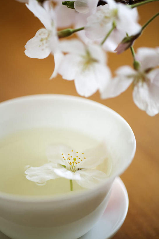 无人,竖图,俯视,室内,特写,白天,幸福,餐桌,茶,桌子,樱花,杯子,餐具,朦胧,模糊,盛开,碟子,盘,茶道,茶叶,一杯,花蕾,文化,娱乐,花,花瓣,花朵,鲜花,粉色,盘子,水杯,碟,花苞,花蕊,享受,休闲,温馨,放松,乐趣,摄影,影棚,餐台,茶艺,环境,提神,舒适,醒脑,东亚文化,礼法,修行,仙樱花,福岛樱,青肤樱,茶杯,荆桃,彩图,高角度拍摄,影棚拍摄,拍摄,茶文化