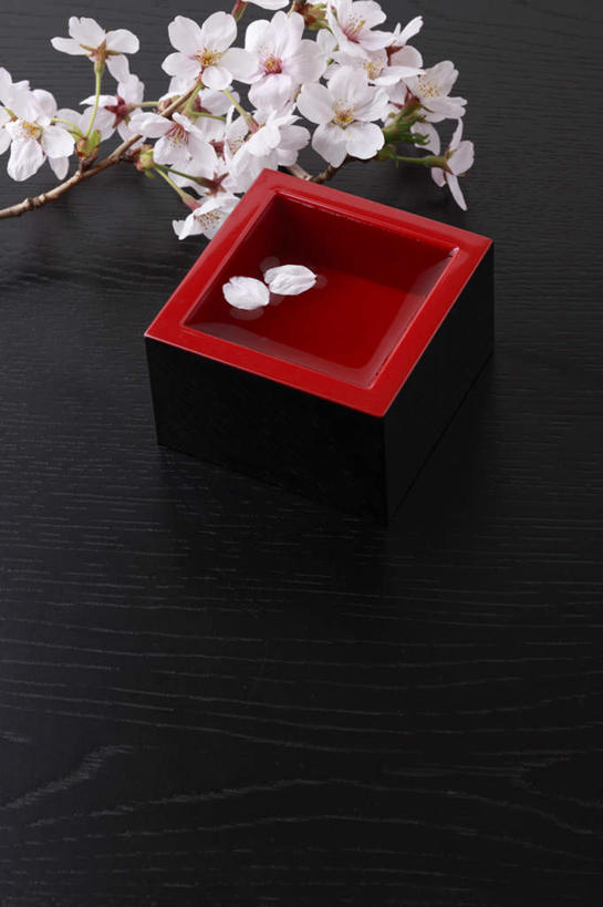 无人,竖图,俯视,室内,特写,白天,植物,桌面,桌子,樱花,静物,许多,黑色背景,盛开,木制,木盒,花,花瓣,花朵,花卉,鲜花,一个,粉色,木制品,容器,花蕊,摄影,影棚,单个,储藏,储存,仙樱花,福岛樱,青肤樱,荆桃,彩图,高角度拍摄,影棚拍摄,拍摄,贮存