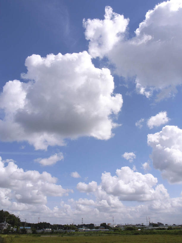 无人,竖图,室外,白天,仰视,旅游,度假,草地,草坪,美景,植物,日本,亚洲,阴影,光线,影子,景观,云,云朵,千叶县,云彩,娱乐,草,树,树木,蓝色,绿色,白云,蓝天,天空,阳光,自然,天,享受,休闲,景色,放松,生长,晴朗,成长,自然风光,东亚,本州,关东地方,本州岛,日本国,千叶,晴空,彩图,低角度拍摄