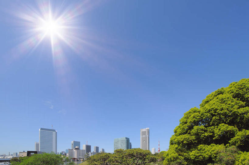 无人,高楼大厦,横图,室外,白天,仰视,度假,美景,太阳,植物,城市风光,标志建筑,城市,大厦,地标,建筑,摩天大楼,东京,日本,亚洲,阴影,光线,影子,景观,娱乐,建设,树,树木,蓝色,绿色,蓝天,天空,阳光,自然,天,享受,休闲,景色,放松,生长,晴朗,成长,东亚,本州,万里无云,关东地方,本州岛,日本国,东京都,晴空,晴空万里,彩图,低角度拍摄,大楼,高层建筑,高楼,摩天楼