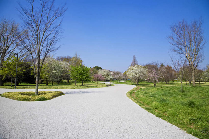 横图,室外,白天,正面,旅游,度假,草地,草坪,美景,树林,植物,道路,路,东京,日本,亚洲,阴影,光线,影子,景观,小路,交通,娱乐,草,树,树木,蓝色,绿色,蓝天,天空,阳光,自然,天,享受,休闲,景色,放松,生长,晴朗,成长,自然风光,东亚,本州,万里无云,关东地方,本州岛,日本国,东京都,晴空,晴空万里,半身,彩图