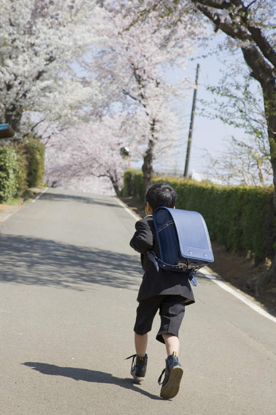 东方人,儿童,一个人,站,走,竖图,室外,白天,制服,纯洁,植物,道路,路,公路,樱花,亚洲,仅一个男性,仅一个人,许多,阴影,服装,盛开,光线,包,书包,影子,交通,花蕾,黄种人,花,花瓣,花朵,鲜花,树,树木,小孩,背面,粉色,绿色,阳光,自然,背包,花苞,花蕊,站着,仅一个小孩,校服,可爱,童年,童趣,生长,成长,单肩包,童真,烂漫,无邪,学生服,仙樱花,福岛樱,青肤樱,天真,男孩,男人,男性,亚洲人,孩子,马路,荆桃,步行,散步,站立,走路,彩图,全身,男生