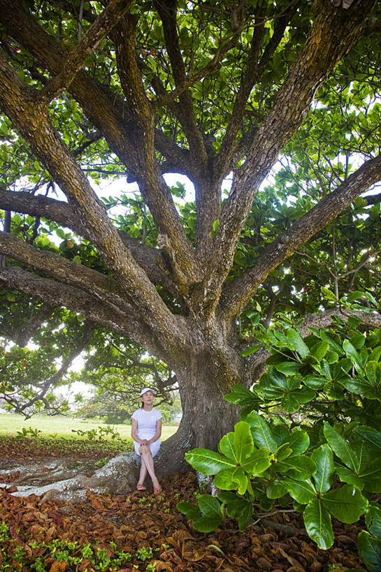 东方人,一个人,坐,竖图,室外,白天,正面,旅游,度假,岛屿,美景,植物,帽子,夏威夷,美国,亚洲,仅一个年轻女性,仅一个女性,仅一个人,服装,景观,休闲装,黄种人,娱乐,运动帽,树,树干,树木,衣服,绿色,白色,黑色,自然,享受,休闲,休闲服,鸭舌帽,景色,放松,服饰,生长,成长,北美,北美洲,自然风光,美洲,夏威夷州,爱洛哈之州,可爱岛,考艾岛,考爱岛,北亚美利加洲,亚美利加洲,花园之岛,年轻女性,女人,女性,亚洲人,长发,列岛,群岛,诸岛,坐着,彩图,全身