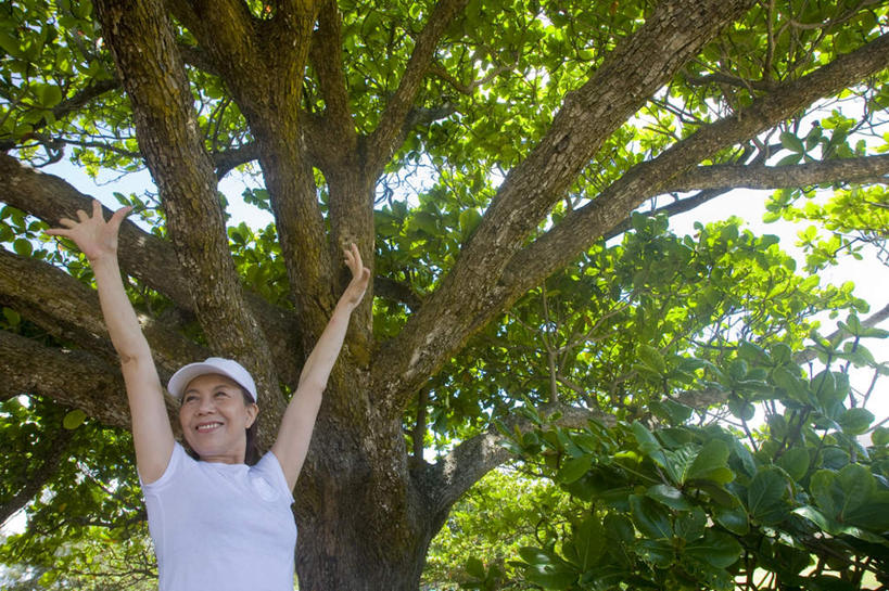 东方人,一个人,站,举,横图,室外,白天,仰视,T恤衫,植物,亚洲,仅一个年轻女性,仅一个女性,仅一个人,阴影,服装,光线,影子,云,云朵,T恤,云彩,注视,休闲装,黄种人,树,树干,树木,衣服,蓝色,绿色,白色,白云,蓝天,天空,阳光,自然,天,观察,看,托,站着,休闲,休闲服,服饰,生长,成长,观看,察看,关注,年轻女性,女人,女性,亚洲人,举起,举手,举着,向上举,向上伸,向上托,站立,半身,彩图,低角度拍摄