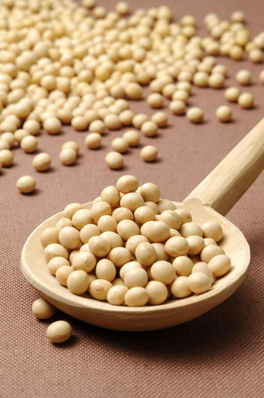 无人,竖图,俯视,室内,特写,白天,植物,桌面,桌子,豆,大豆,蔬菜,静物,一堆,许多,堆叠,堆积,新鲜,散落,勺子,豆类,豆子,食品,食物,黄色,调羹,汤匙,摄影,有机食品,绿色食品,影棚,长柄勺,堆,豆科,黄豆,彩图,高角度拍摄,影棚拍摄,拍摄