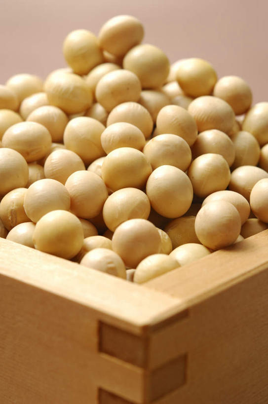 无人,竖图,俯视,室内,特写,白天,烹饪,植物,桌面,桌子,豆,大豆,蔬菜,静物,一堆,许多,堆叠,堆积,朦胧,模糊,新鲜,散落,木制,木盒,豆类,豆子,日本料理,料理,食品,菜肴,美食,食物,黄色,木制品,容器,日式料理,日式,摄影,佳肴,有机食品,绿色食品,影棚,储藏,堆,储存,豆科,黄豆,彩图,高角度拍摄,影棚拍摄,拍摄,贮存