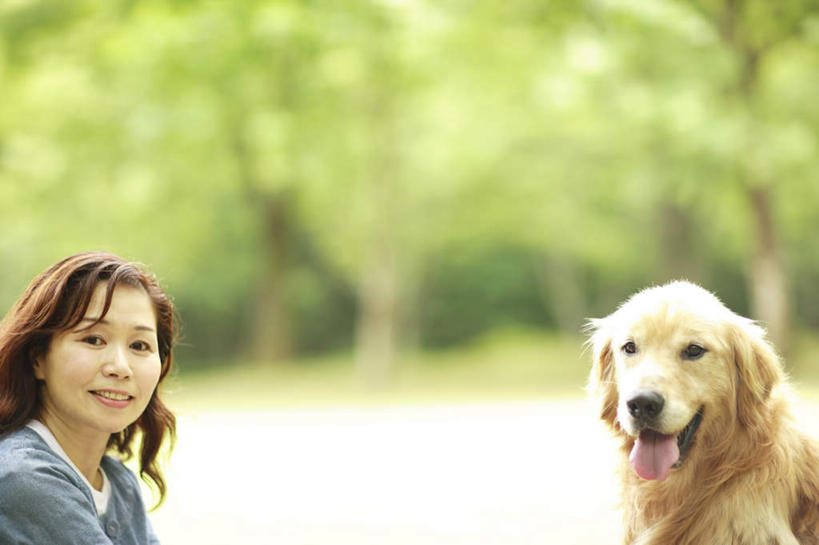 东方人,一个人,坐,笑,微笑,露齿笑,横图,室外,白天,侧面,植物,宠物,狗,亚洲,仅一个年轻女性,仅一个女性,仅一个人,一条,朦胧,模糊,注视,黄种人,金毛犬,树,树木,黄色,绿色,黑色,自然,动物,观察,看,可爱,金毛,生长,成长,观看,察看,关注,寻回犬,金毛寻回犬,忠诚,年轻女性,女人,女性,亚洲人,长发,犬,坐着,半身,彩图