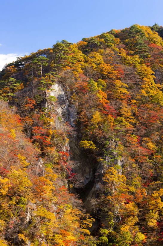 无人,竖图,俯视,室外,白天,旅游,度假,草地,草坪,美景,山,山脉,植物,日本,亚洲,阴影,光线,影子,景观,山峰,云,云朵,山峦,云彩,娱乐,草,树,树木,蓝色,绿色,白云,蓝天,天空,阳光,自然,群山,天,享受,休闲,景色,放松,生长,成长,自然风光,东亚,本州,本州岛,日本国,宫城,宫城县,东北地方,彩图,高角度拍摄