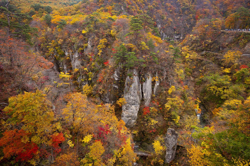 无人,横图,俯视,室外,白天,旅游,度假,草地,草坪,美景,山,山脉,植物,日本,亚洲,阴影,光线,影子,景观,山峰,山峦,娱乐,草,树,树木,绿色,阳光,自然,群山,享受,休闲,景色,放松,生长,成长,自然风光,东亚,本州,本州岛,日本国,宫城,宫城县,东北地方,彩图,高角度拍摄