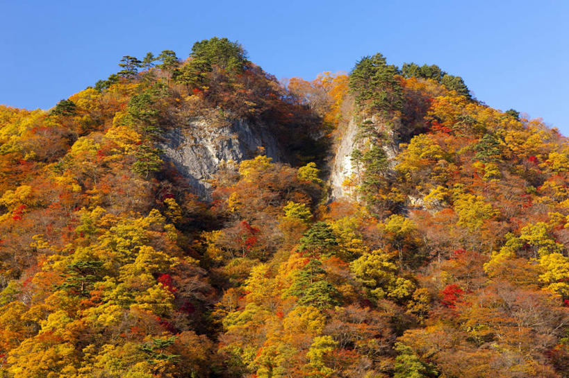 无人,横图,室外,白天,仰视,旅游,度假,草地,草坪,美景,山,山脉,植物,日本,亚洲,阴影,光线,影子,景观,山峰,山峦,娱乐,草,树,树木,蓝色,绿色,蓝天,天空,阳光,自然,群山,天,享受,休闲,景色,放松,生长,晴朗,成长,自然风光,东亚,本州,万里无云,本州岛,日本国,宫城,宫城县,东北地方,晴空,晴空万里,彩图,低角度拍摄