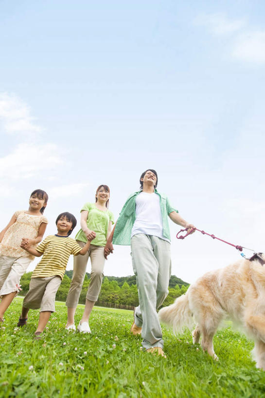 东方人,儿童,四个人,家庭,夫妻,母亲,父亲,女儿,儿子,走,握手,笑,微笑,露齿笑,竖图,室外,白天,仰视,爱情,旅游,度假,纯洁,草地,草坪,美景,植物,亚洲,牵,服装,朦胧,模糊,景观,云,云朵,浪漫,云彩,休闲装,黄种人,娱乐,金毛犬,草,树,树木,一只,小孩,衣服,蓝色,绿色,白云,蓝天,天空,自然,天,享受,休闲,温暖,温馨,父女,父子,母女,母子,一家人,休闲服,景色,恩爱,放松,父爱,可爱,母爱,童年,童趣,恋人,服饰,金毛,生长,晴朗,成长,牵着,和睦,自然风光,寻回犬,童真,烂漫,无邪,金毛寻回犬,天真,男孩,男人,男性,年轻男性,年轻女性,女孩,女人,女性,亚洲人,孩子,年轻人,夫妇,情侣,晴空,步行,搀手,拉手,散步,手搀手,手拉手,手牵手,手握手,走路,彩图,低角度拍摄,全身,伴侣,融洽,男生,女生