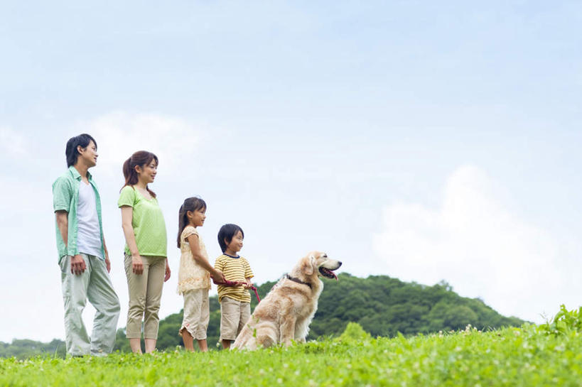 东方人,儿童,四个人,家庭,夫妻,母亲,父亲,女儿,儿子,站,笑,微笑,露齿笑,横图,室外,白天,侧面,爱情,旅游,度假,纯洁,草地,草坪,美景,植物,亚洲,一排,服装,朦胧,模糊,整齐,景观,云,云朵,浪漫,云彩,注视,休闲装,黄种人,娱乐,金毛犬,草,树,树木,排列,一只,小孩,衣服,蓝色,绿色,白云,蓝天,天空,自然,天,观察,看,站着,享受,休闲,温暖,温馨,父女,父子,母女,母子,一家人,休闲服,景色,恩爱,放松,父爱,可爱,母爱,童年,童趣,恋人,服饰,金毛,生长,晴朗,成长,观看,和睦,察看,队列,关注,自然风光,寻回犬,童真,烂漫,无邪,金毛寻回犬,天真,男孩,男人,男性,年轻男性,年轻女性,女孩,女人,女性,亚洲人,孩子,年轻人,夫妇,情侣,晴空,站立,彩图,全身,伴侣,融洽,男生,女生
