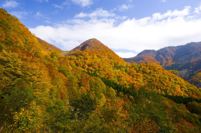 无人,横图,室外,白天,正面,旅游,度假,美景,秋季,山,山脉,树林,植物,日本,亚洲,许多,朦胧,模糊,景观,山峰,云,云朵,山峦,云彩,娱乐,树,树木,蓝色,绿色,白云,蓝天,天空,自然,群山,天,享受,休闲,景色,放松,生长,晴朗,成长,自然风光,东亚,本州,本州岛,日本国,青森,青森县,东北地方,晴空,秋,秋天,彩图